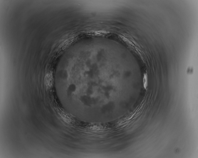 X0000098181395200804241211