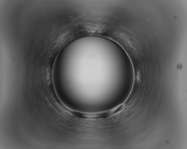 X0000098181396200804241211