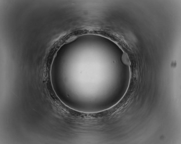 X0000098181398200804241211