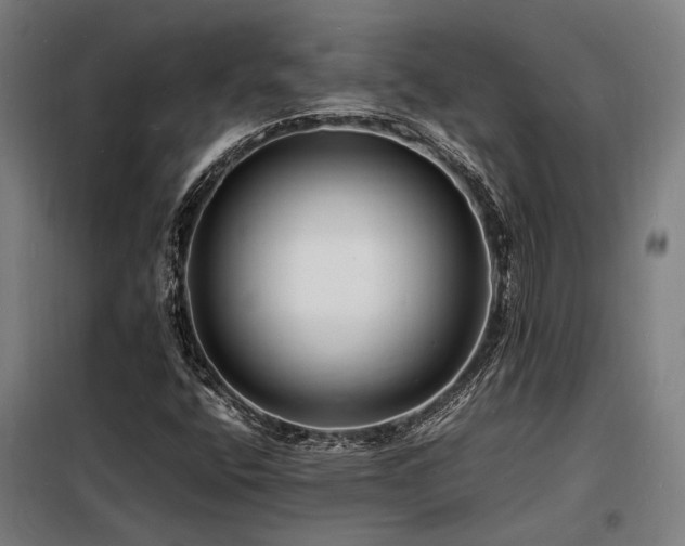 X0000098181400200804241211