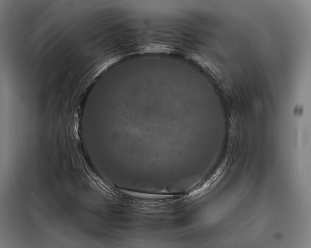 X0000098181401200804241211
