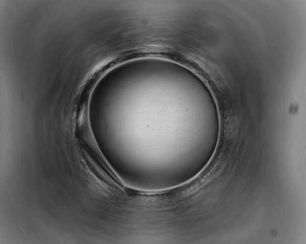 X0000098181402200804241211