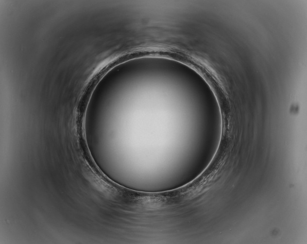 X0000098181404200804241211