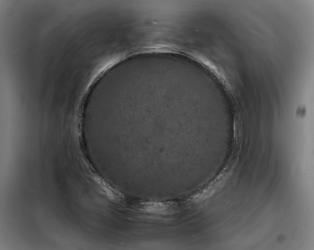 X0000098181405200804241211