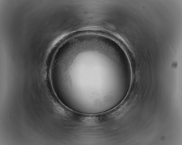 X0000098181406200804241211