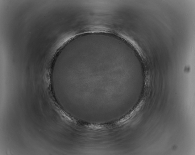 X0000098181407200804241211