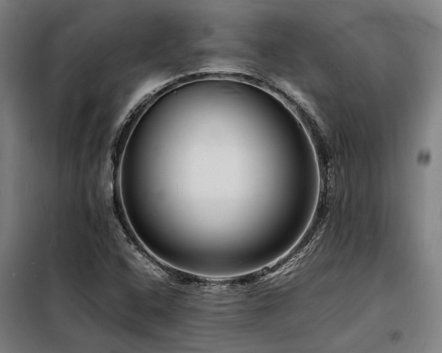 X0000098181408200804241211