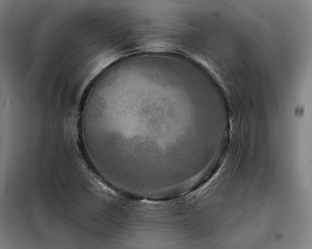 X0000098181410200804241211