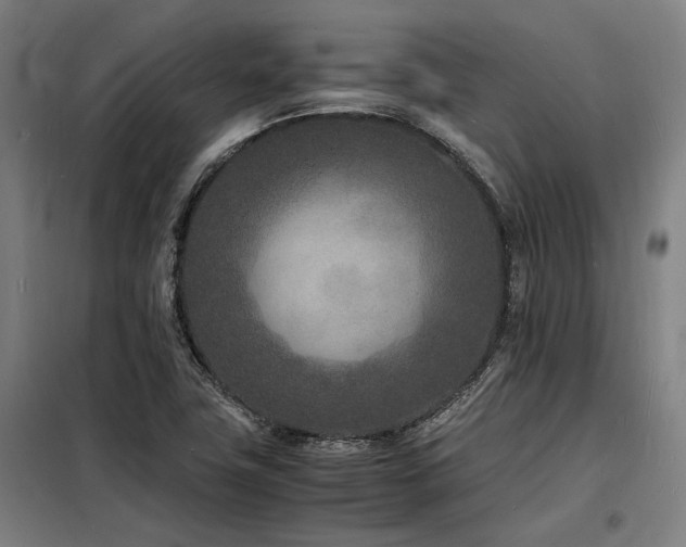 X0000098181411200804241211