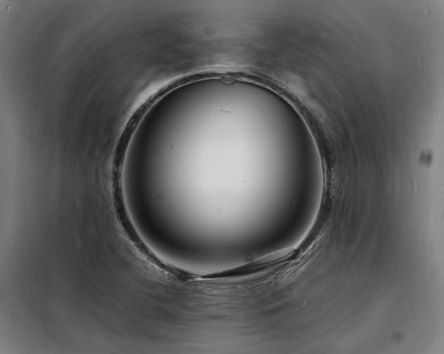 X0000098181412200804241211