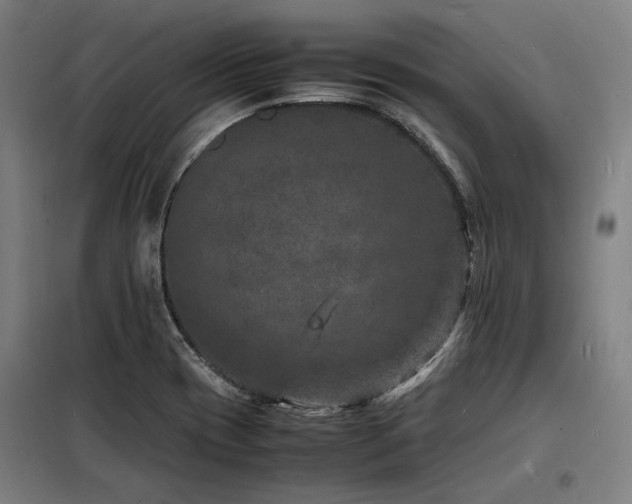 X0000098181417200804241211