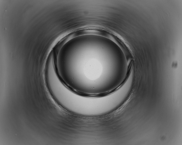 X0000098181418200804241211