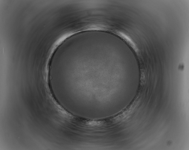 X0000098181419200804241211