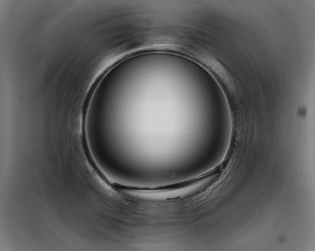 X0000098181420200804241211