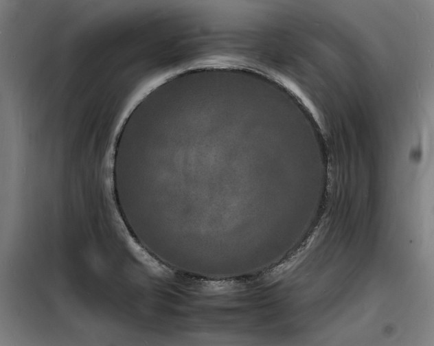 X0000098181421200804241211