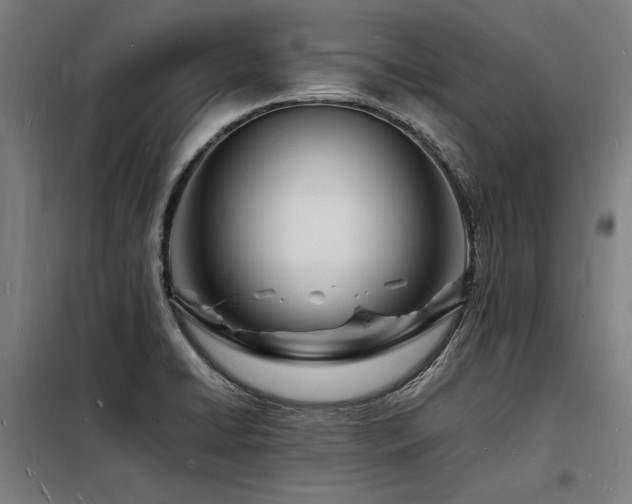 X0000098181422200804241211