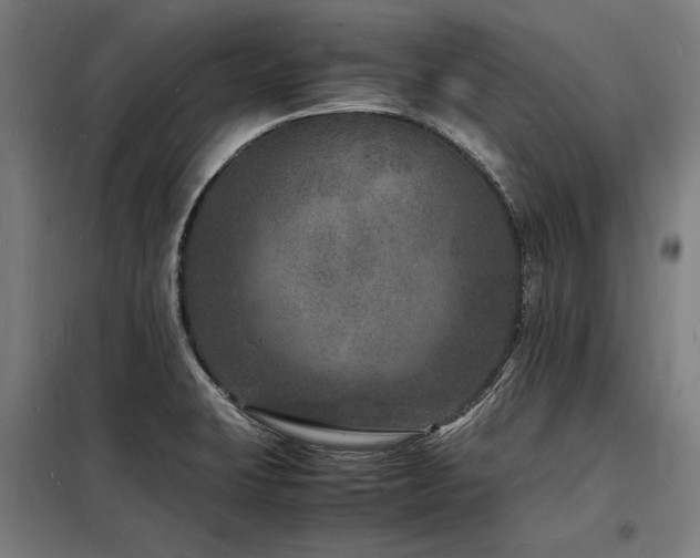 X0000098181423200804241211