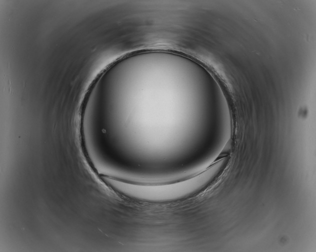 X0000098181424200804241211