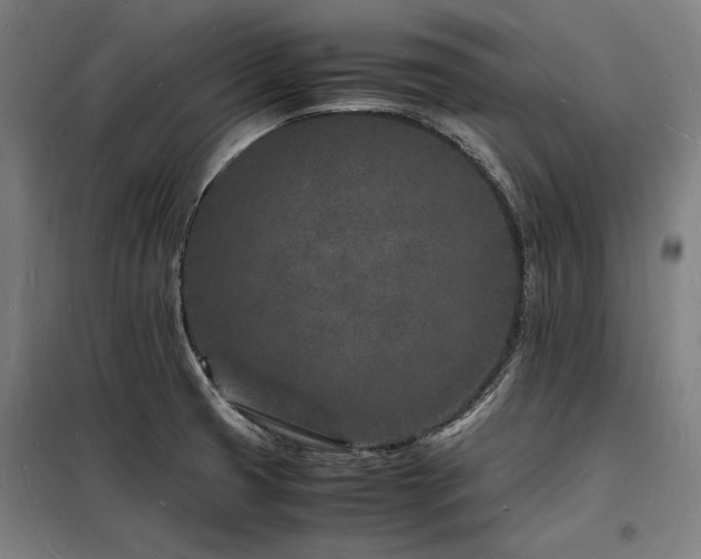 X0000098181425200804241211