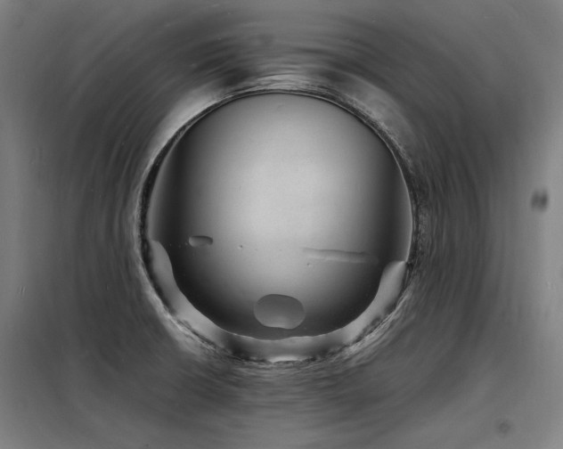 X0000098181426200804241211