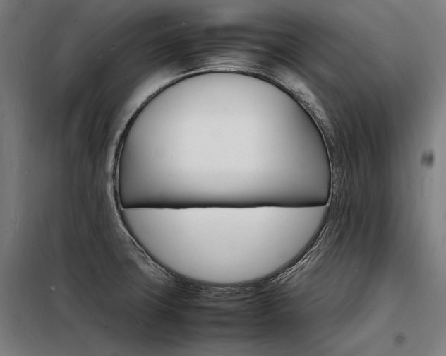 X0000098181427200804241211