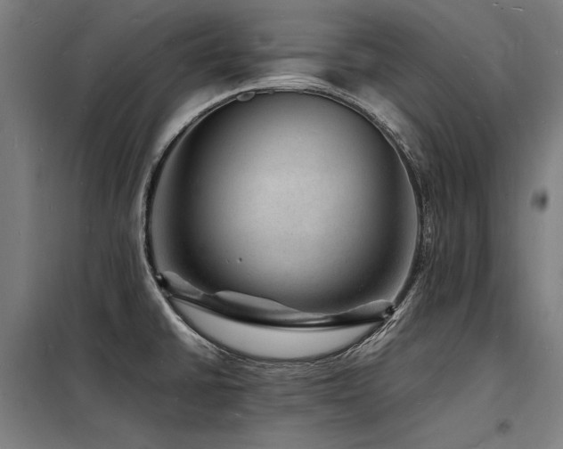 X0000098181430200804241211