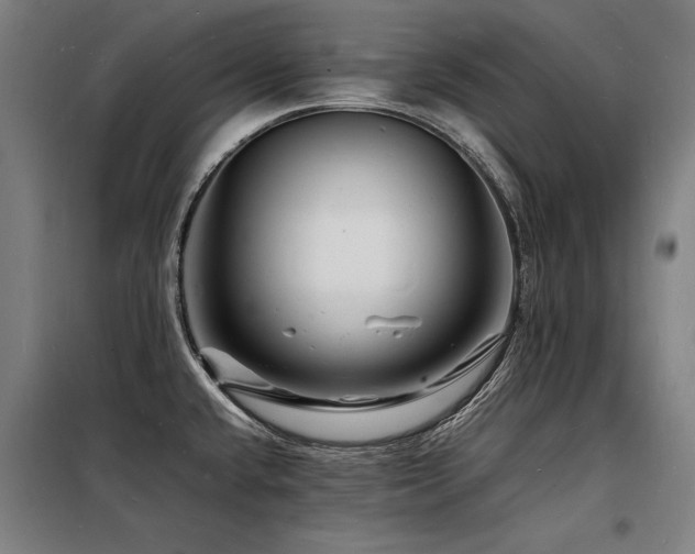 X0000098181432200804241211