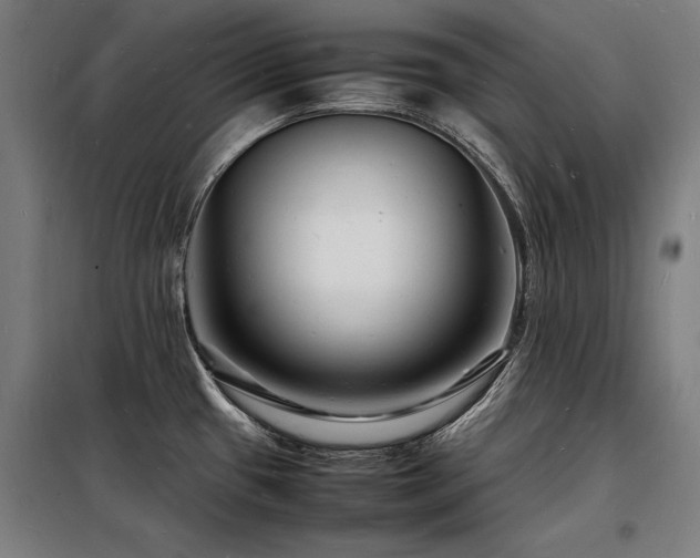 X0000098181433200804241211