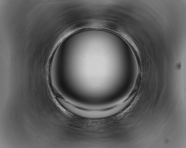 X0000098181437200804241211