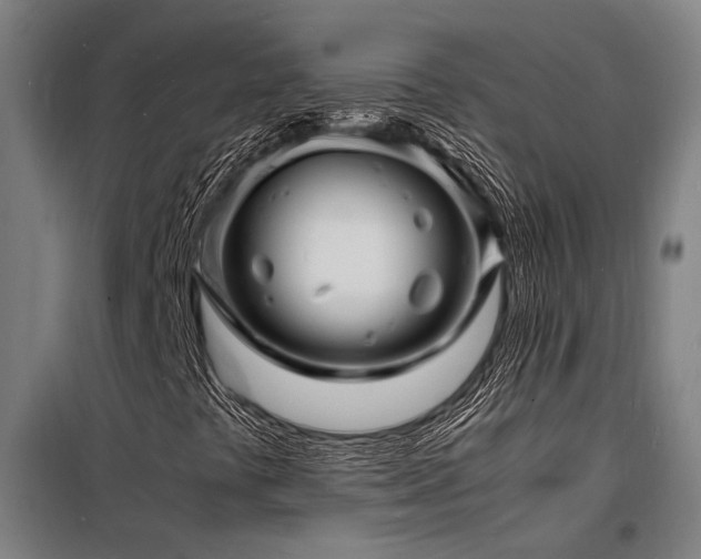 X0000098181441200804241211