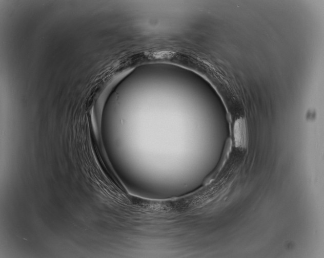 X0000098181443200804241211