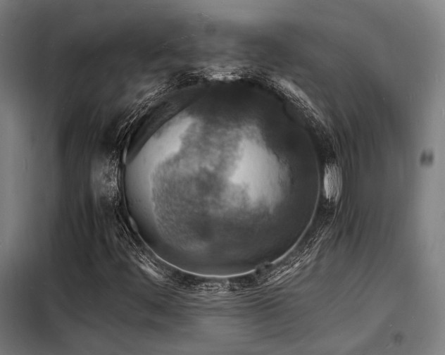 X0000098181444200804241211