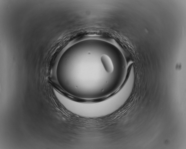 X0000098181445200804241211
