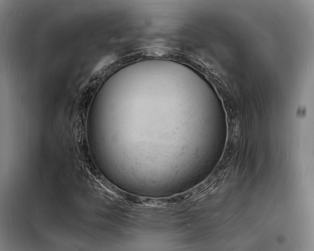 X0000098181446200804241211