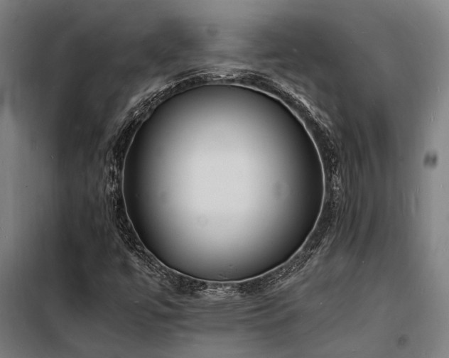 X0000098181447200804241211