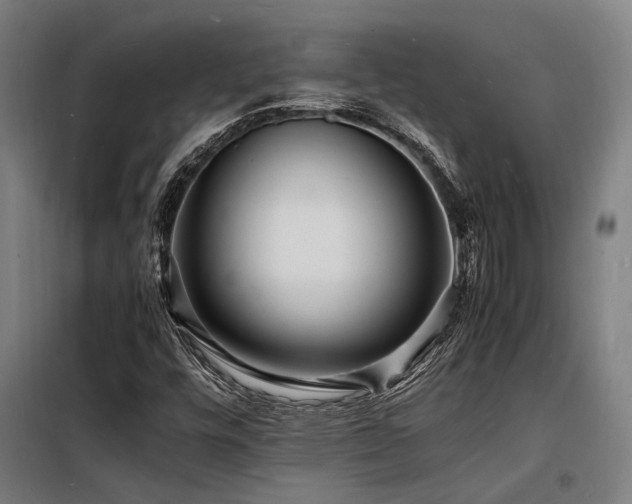 X0000098181448200804241211