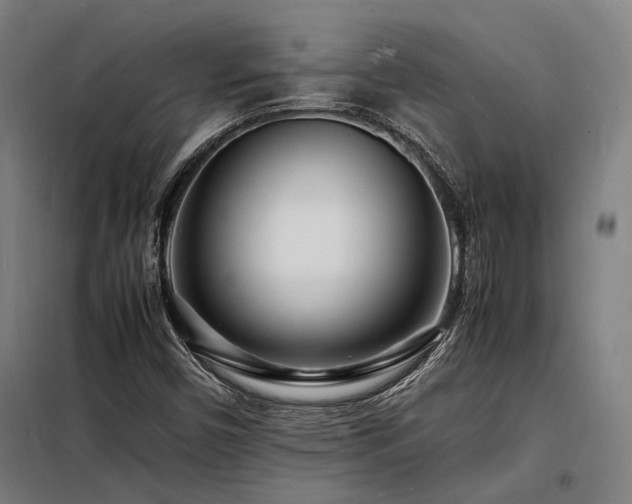 X0000098181450200804241211