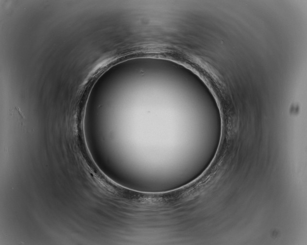 X0000098181451200804241210