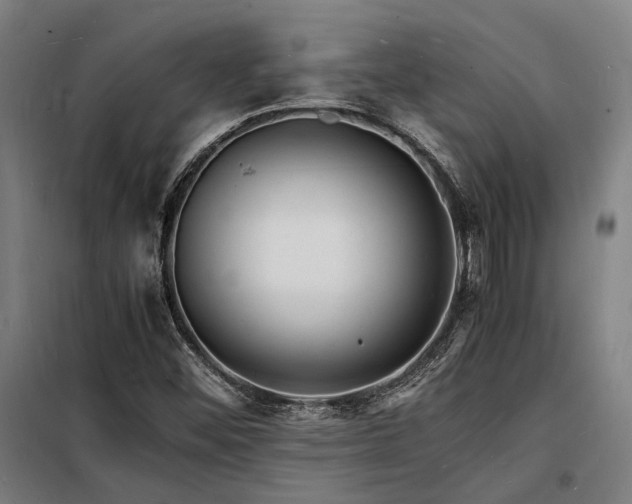 X0000098181452200804241210