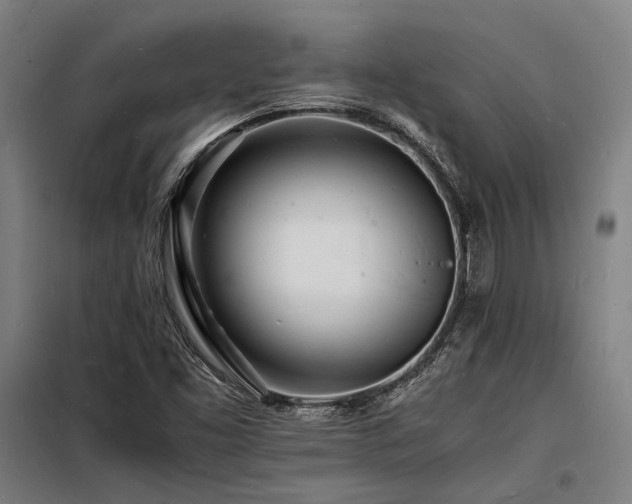 X0000098181453200804241210
