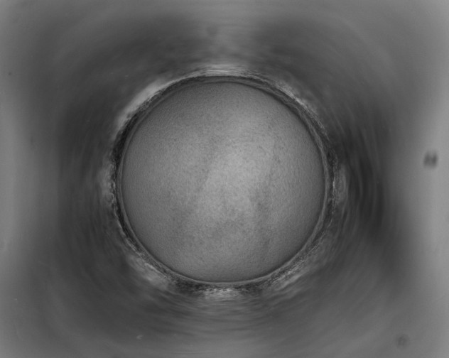 X0000098181454200804241210