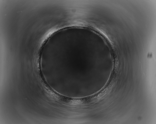 X0000098181455200804241210