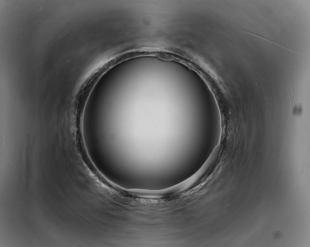 X0000098181456200804241210