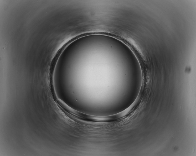 X0000098181460200804241210