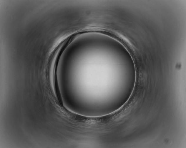 X0000098181461200804241210