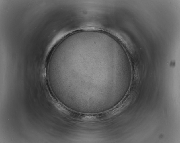 X0000098181462200804241210