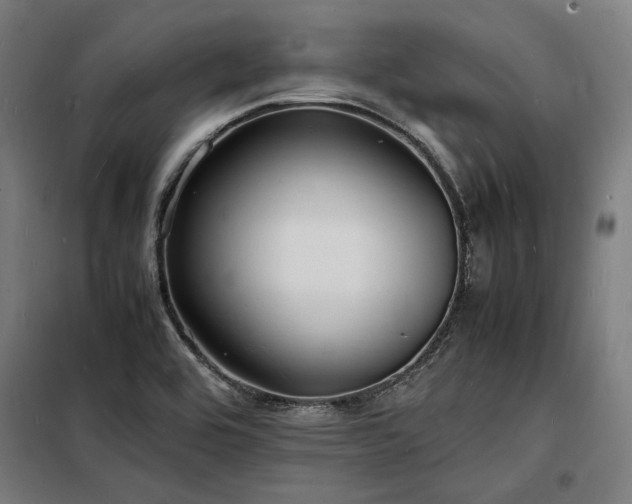 X0000098181464200804241210