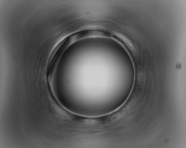 X0000098181465200804241210