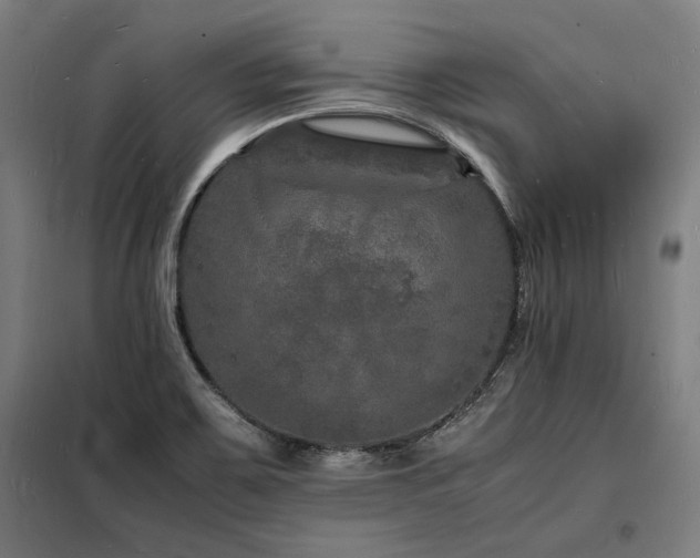 X0000098181467200804241210