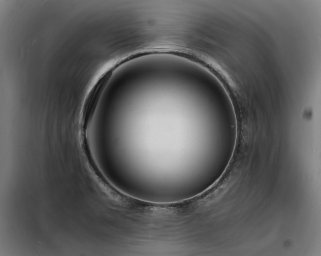 X0000098181469200804241210